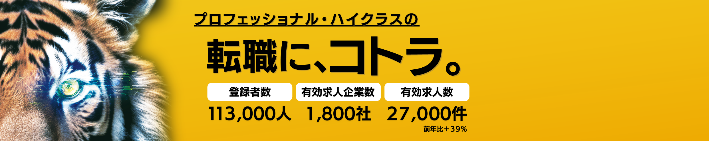 転職に、コトラ。 登録者数113,000人 有効求人企業数1,800社 有効求人数27,000件 まずは会員登録（無料）する